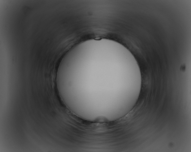 X0000101960082200807180712