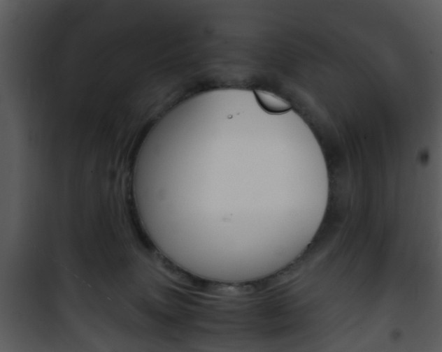 X0000101960083200807180712