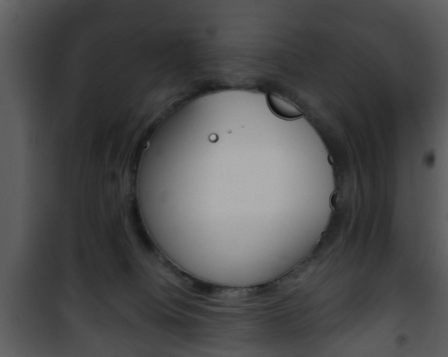 X0000101960084200807180712