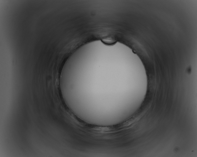 X0000101960085200807180712