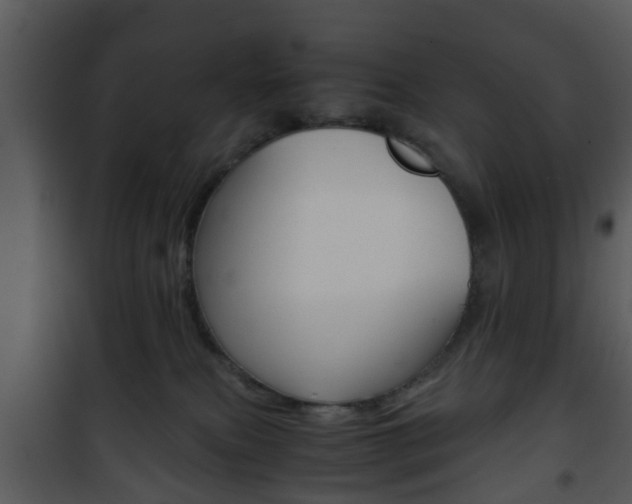 X0000101960087200807180712
