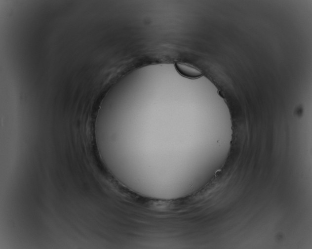 X0000101960088200807180712
