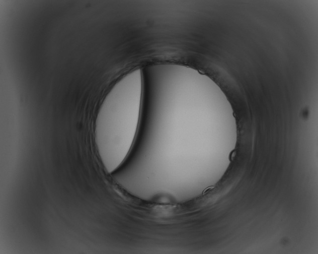 X0000101960089200807180712