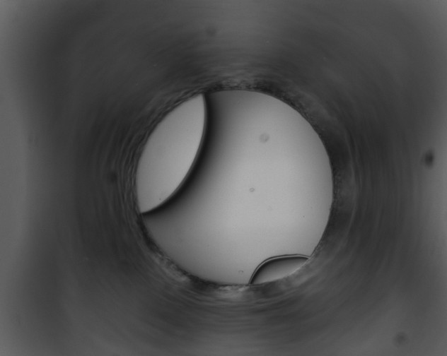 X0000101960090200807180712