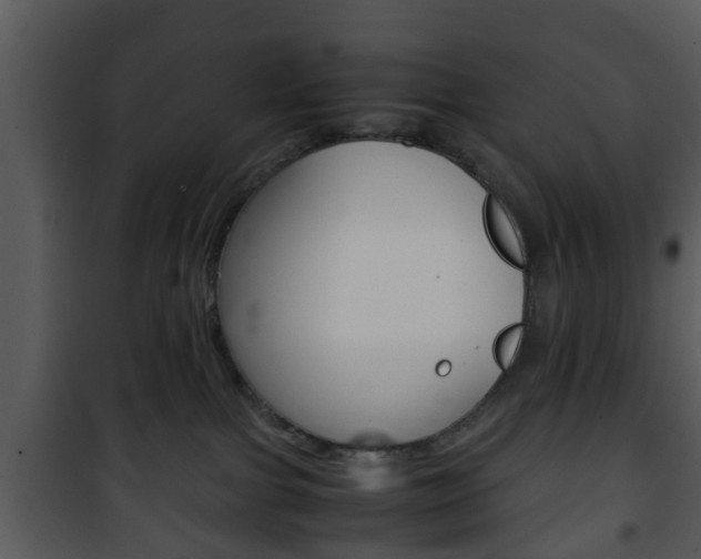 X0000101960091200807180712