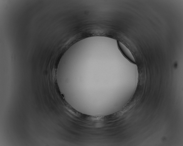 X0000101960093200807180712