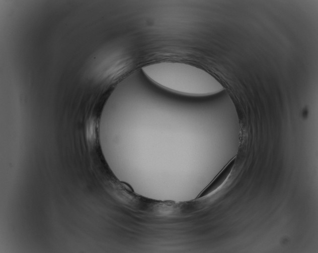 X0000101960094200807180712