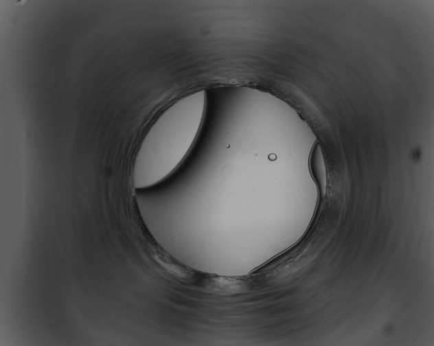 X0000101960095200807180712