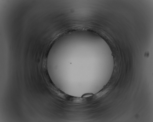 X0000101960096200807180712