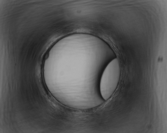 X0000101960098200807180712