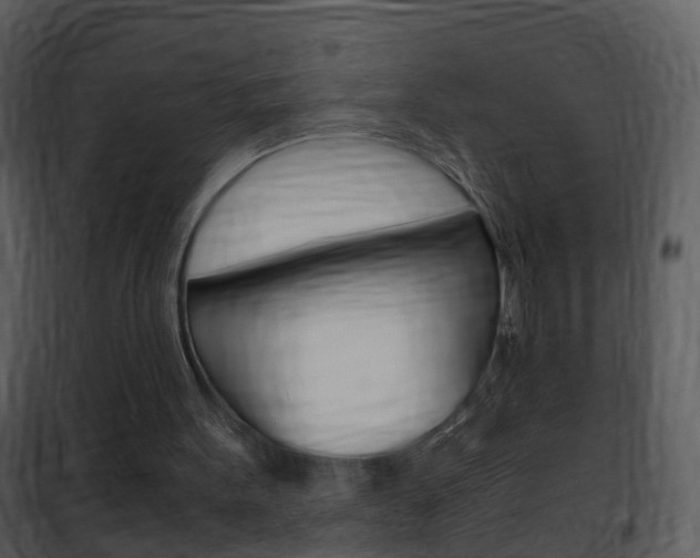 X0000101960099200807180712