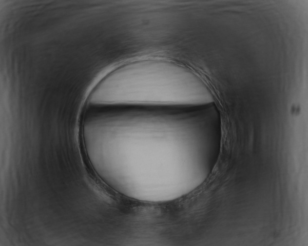 X0000101960100200807180712