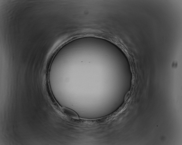 X0000101960101200807180712