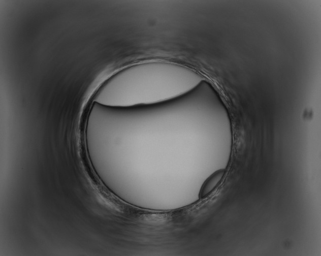 X0000101960102200807180712