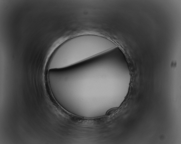 X0000101960104200807180712