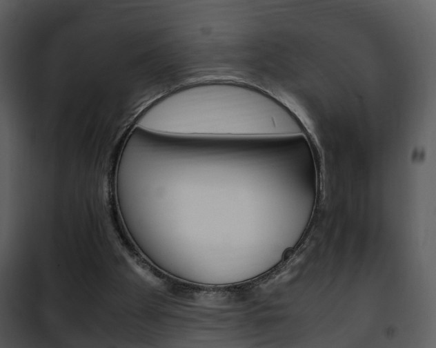 X0000101960105200807180711