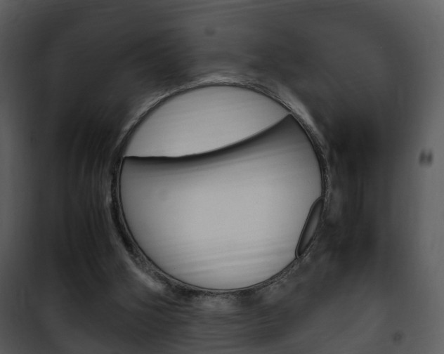 X0000101960106200807180711
