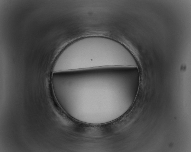 X0000101960107200807180711