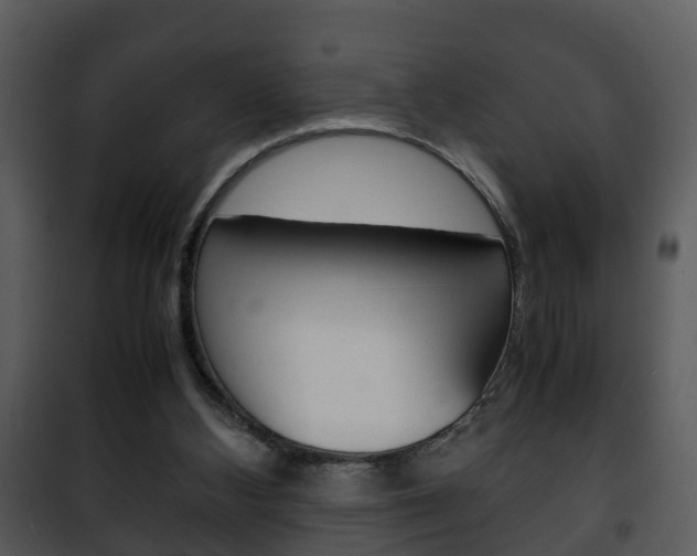 X0000101960108200807180711