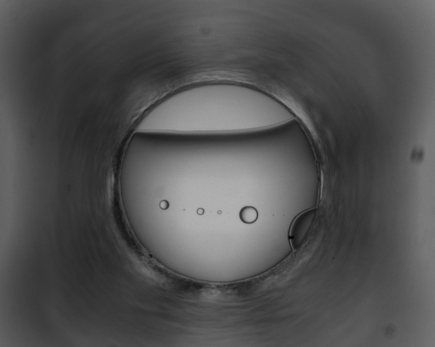 X0000101960109200807180711