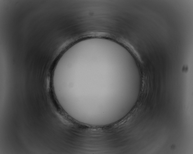 X0000101960110200807180711