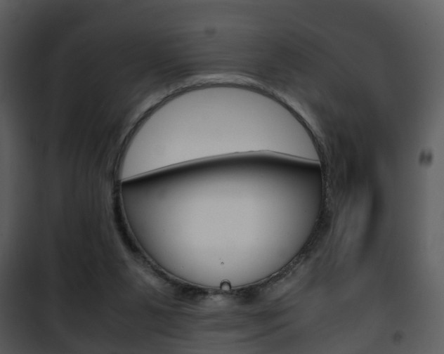 X0000101960111200807180711
