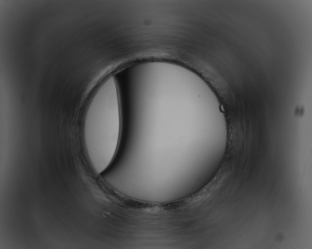 X0000101960112200807180711