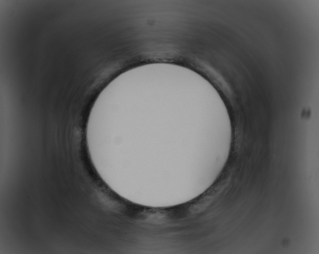 X0000101960113200807180711