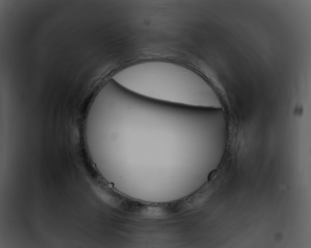 X0000101960114200807180711