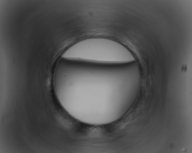 X0000101960115200807180711