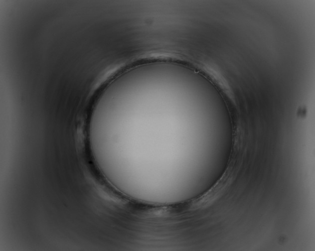 X0000101960116200807180711