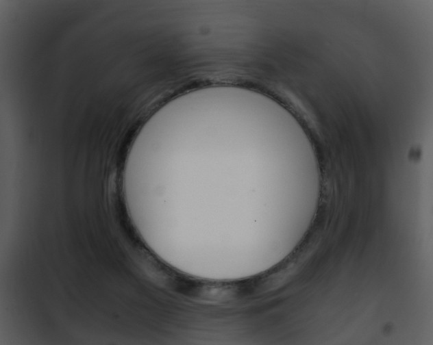 X0000101960117200807180711