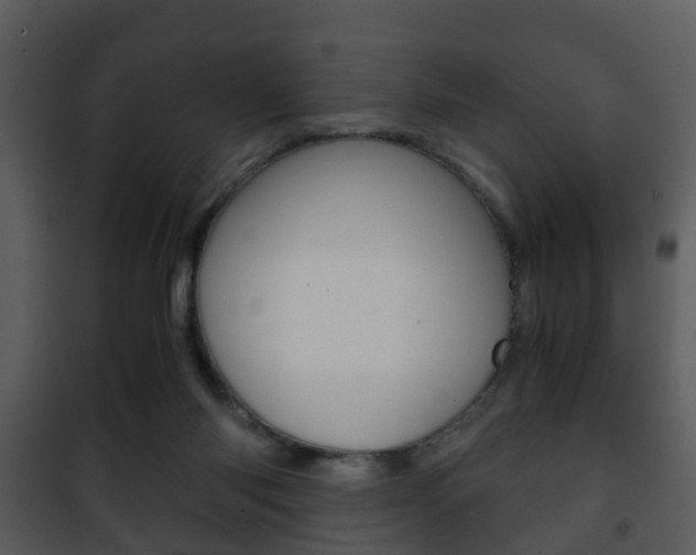 X0000101960118200807180711
