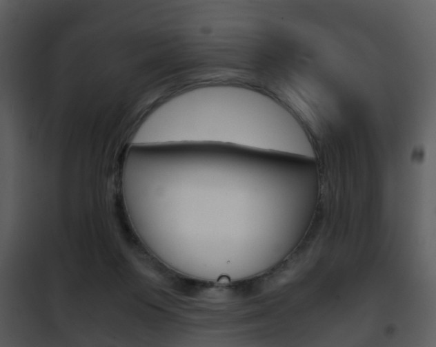X0000101960119200807180711