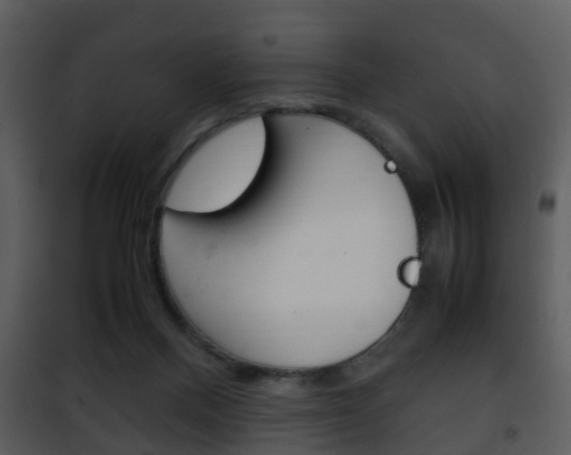 X0000101960120200807180711