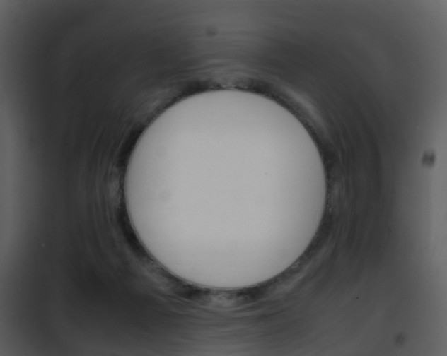 X0000101960121200807180711