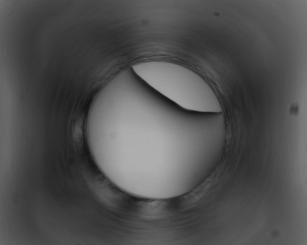 X0000101960122200807180711