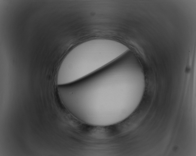 X0000101960123200807180711