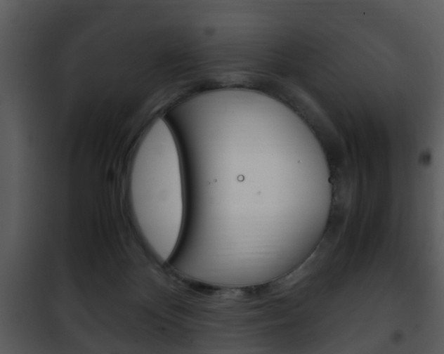 X0000101960124200807180711