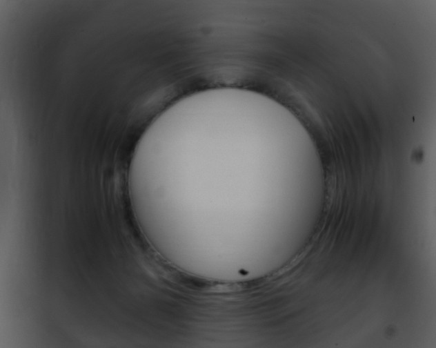 X0000101960126200807180711