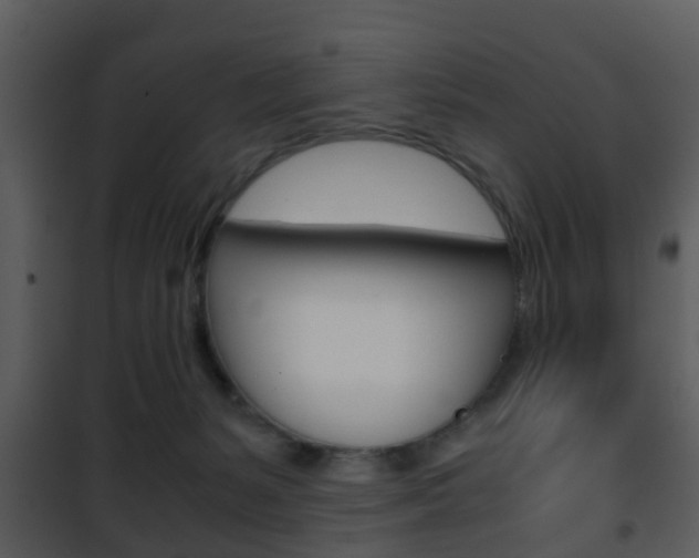 X0000101960127200807180711