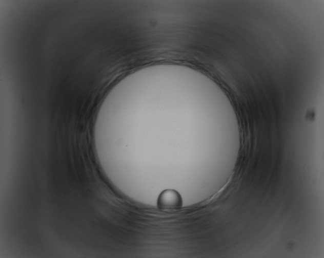 X0000101960128200807180711