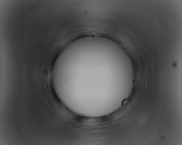 X0000101960129200807180711