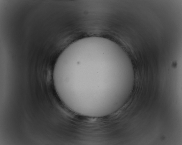 X0000101960130200807180711