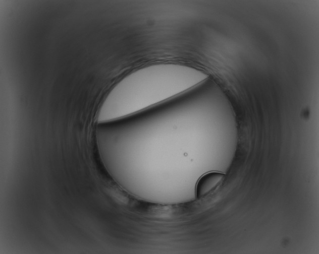 X0000101960131200807180711