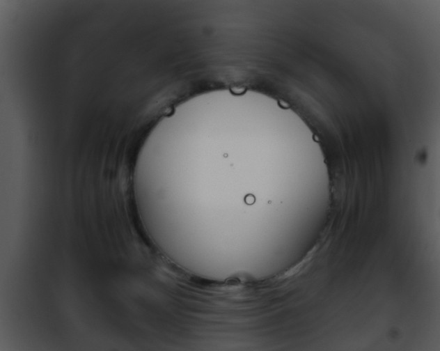 X0000101960132200807180711