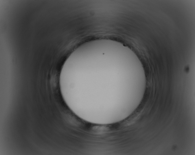 X0000101960133200807180711
