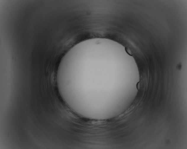 X0000101960134200807180711