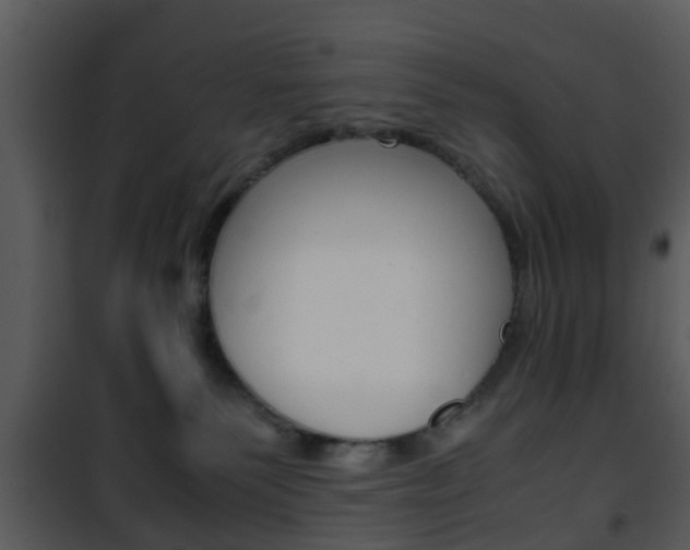 X0000101960135200807180711