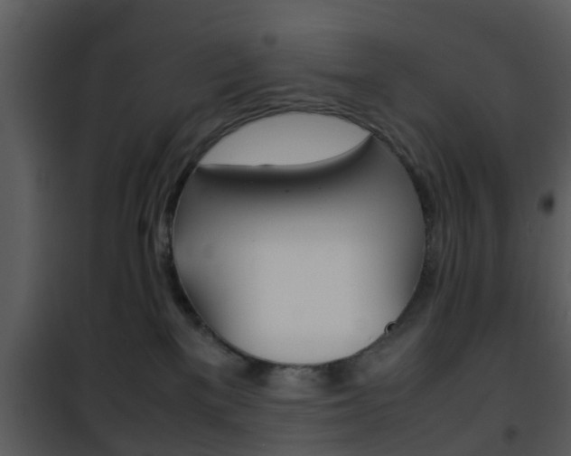 X0000101960137200807180711